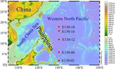 Size-Fractionated Biogenic Silica Standing Stocks and Carbon Biomass in the Western Tropical North Pacific: Evidence for the Ecological Importance of Pico-Sized Plankton in Oligotrophic Gyres